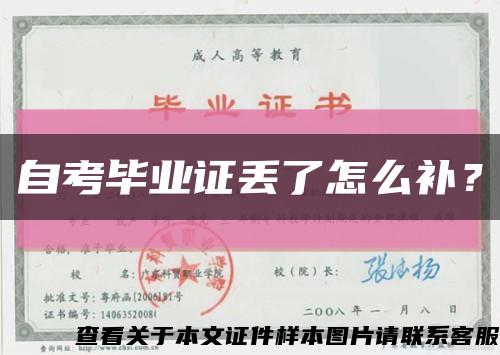 自考毕业证丢了怎么补？缩略图