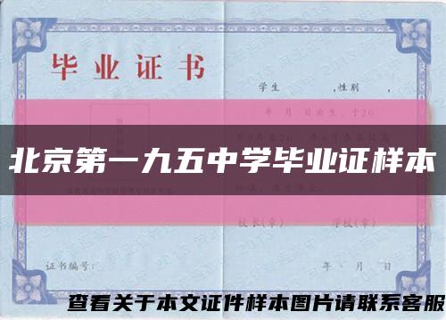 北京第一九五中学毕业证样本缩略图