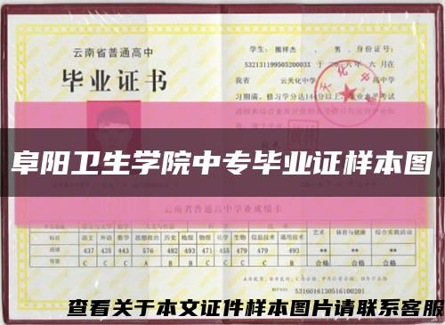 阜阳卫生学院中专毕业证样本图缩略图