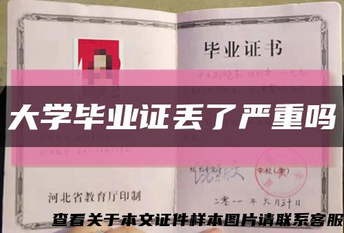 大学毕业证丢了严重吗缩略图