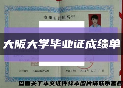 大阪大学毕业证成绩单缩略图