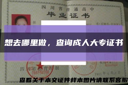想去哪里做，查询成人大专证书缩略图