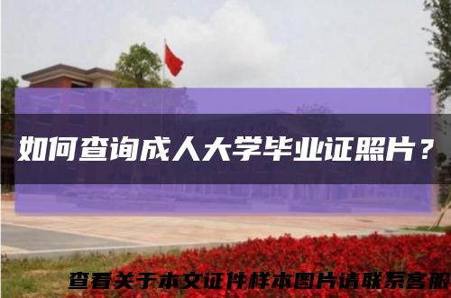 如何查询成人大学毕业证照片？缩略图