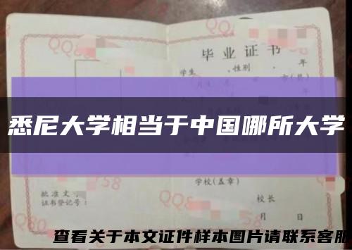 悉尼大学相当于中国哪所大学缩略图