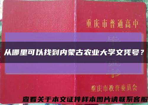 从哪里可以找到内蒙古农业大学文凭号？缩略图