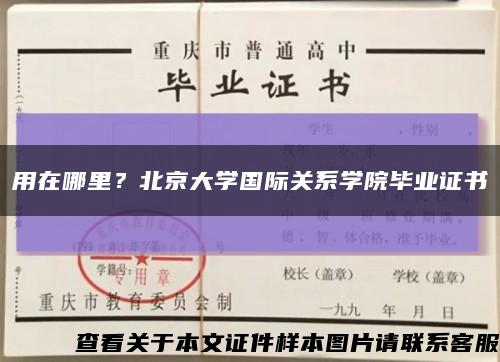 用在哪里？北京大学国际关系学院毕业证书缩略图
