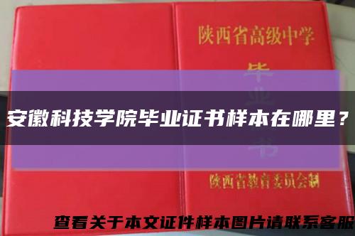 安徽科技学院毕业证书样本在哪里？缩略图