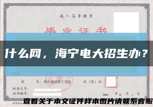 什么网，海宁电大招生办？缩略图