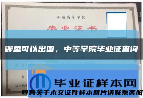 哪里可以出国，中等学院毕业证查询缩略图