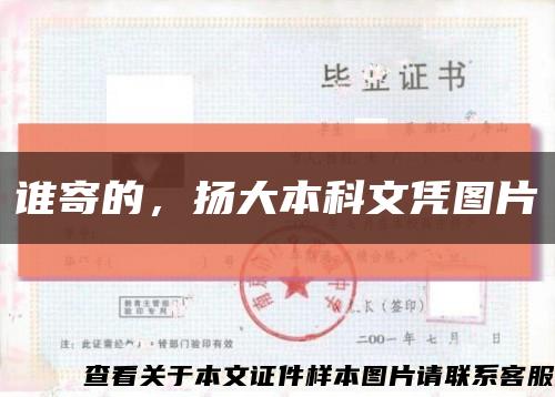 谁寄的，扬大本科文凭图片缩略图