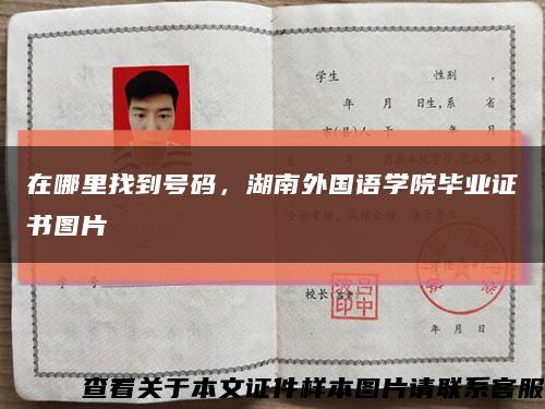 在哪里找到号码，湖南外国语学院毕业证书图片缩略图