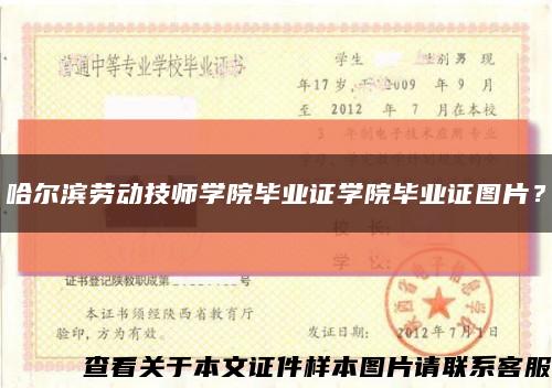 哈尔滨劳动技师学院毕业证学院毕业证图片？缩略图