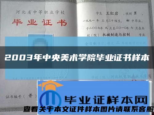 2003年中央美术学院毕业证书样本缩略图
