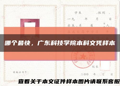 哪个最快，广东科技学院本科文凭样本缩略图