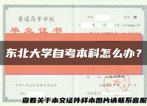 东北大学自考本科怎么办？缩略图