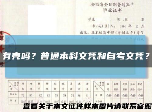有壳吗？普通本科文凭和自考文凭？缩略图