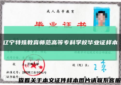 辽宁特殊教育师范高等专科学校毕业证样本缩略图