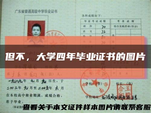 但不，大学四年毕业证书的图片缩略图