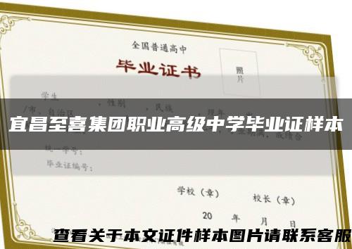 宜昌至喜集团职业高级中学毕业证样本缩略图