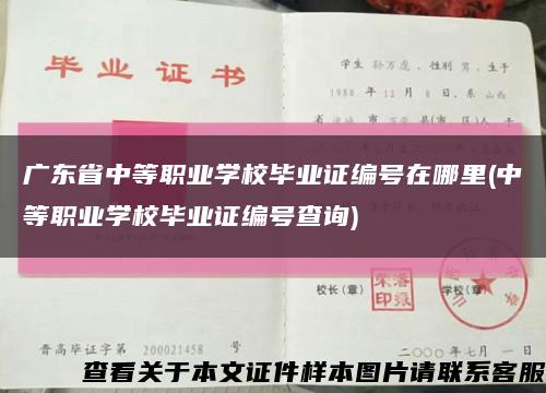广东省中等职业学校毕业证编号在哪里(中等职业学校毕业证编号查询)缩略图