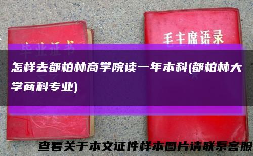 怎样去都柏林商学院读一年本科(都柏林大学商科专业)缩略图