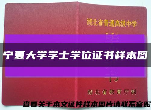宁夏大学学士学位证书样本图缩略图