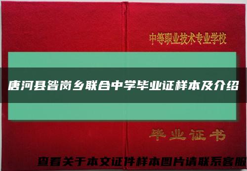 唐河县昝岗乡联合中学毕业证样本及介绍缩略图