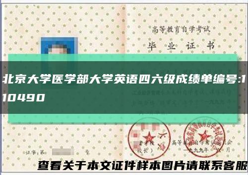 北京大学医学部大学英语四六级成绩单编号:110490缩略图