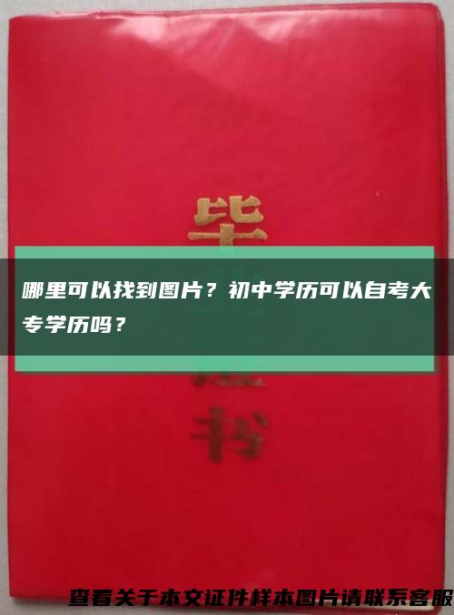 哪里可以找到图片？初中学历可以自考大专学历吗？缩略图