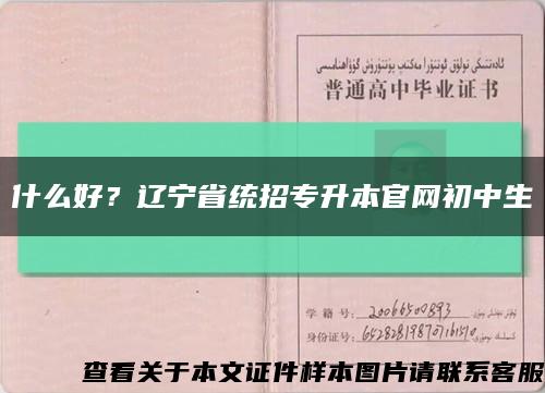 什么好？辽宁省统招专升本官网初中生缩略图
