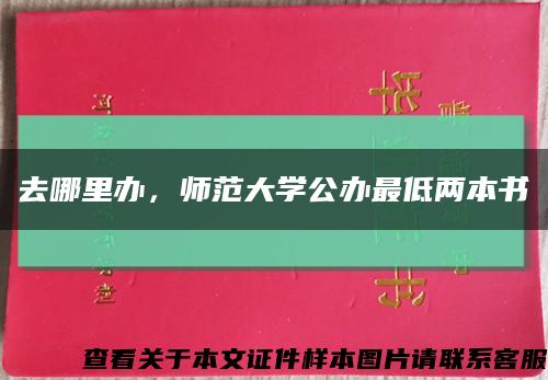 去哪里办，师范大学公办最低两本书缩略图