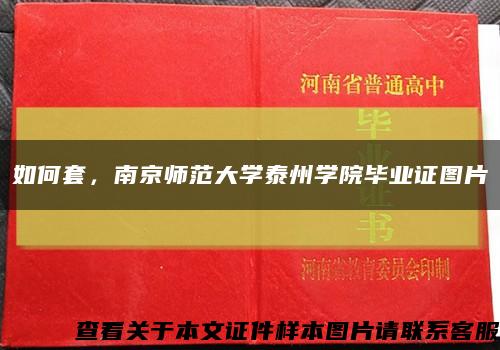 如何套，南京师范大学泰州学院毕业证图片缩略图