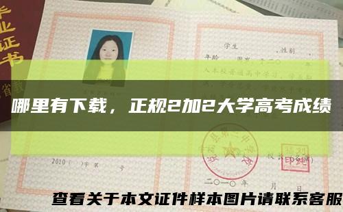 哪里有下载，正规2加2大学高考成绩缩略图