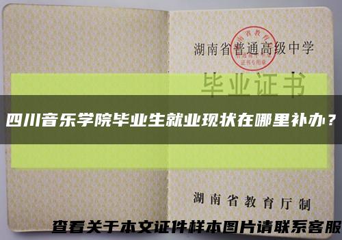 四川音乐学院毕业生就业现状在哪里补办？缩略图