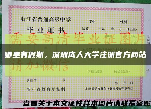 哪里有假期，深圳成人大学注册官方网站缩略图