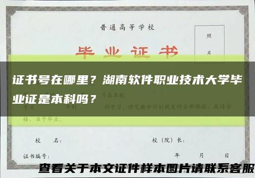 证书号在哪里？湖南软件职业技术大学毕业证是本科吗？缩略图