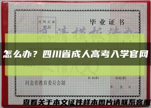 怎么办？四川省成人高考入学官网缩略图