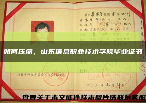 如何压缩，山东信息职业技术学院毕业证书缩略图