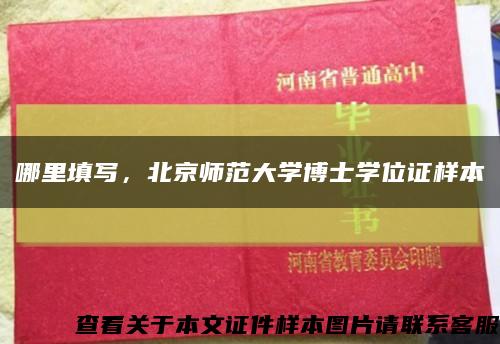 哪里填写，北京师范大学博士学位证样本缩略图