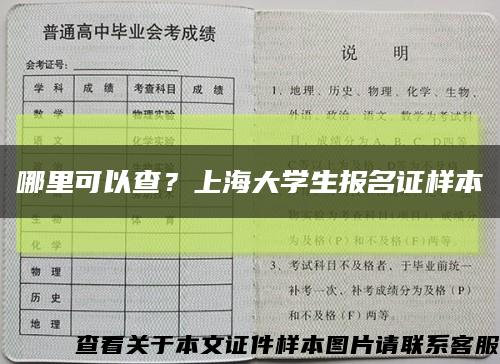 哪里可以查？上海大学生报名证样本缩略图