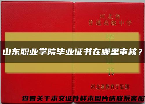 山东职业学院毕业证书在哪里审核？缩略图