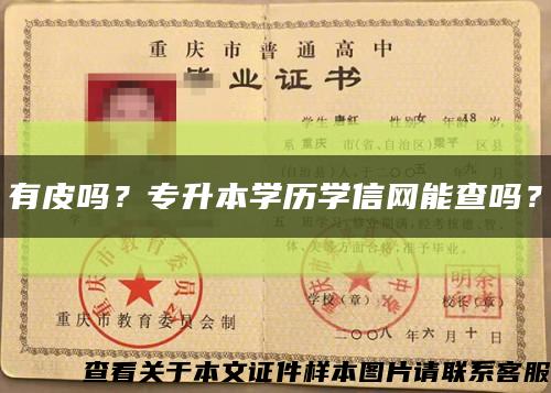 有皮吗？专升本学历学信网能查吗？缩略图