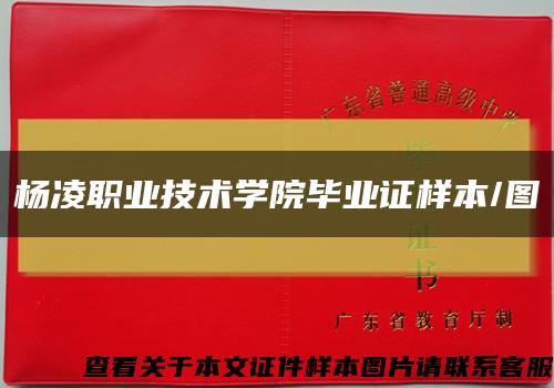 杨凌职业技术学院毕业证样本/图缩略图