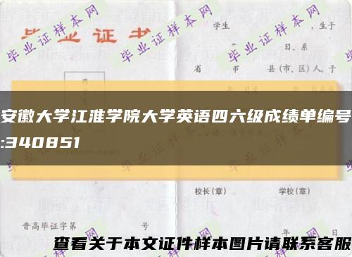 安徽大学江淮学院大学英语四六级成绩单编号:340851缩略图