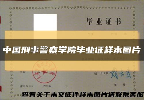 中国刑事警察学院毕业证样本图片缩略图