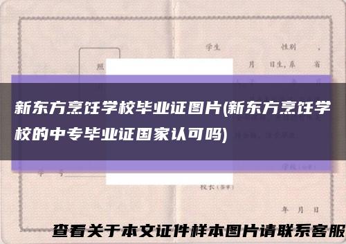 新东方烹饪学校毕业证图片(新东方烹饪学校的中专毕业证国家认可吗)缩略图