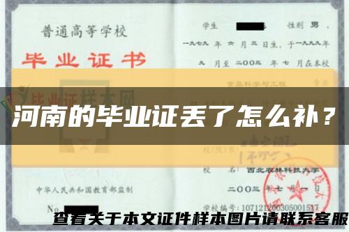 河南的毕业证丢了怎么补？缩略图