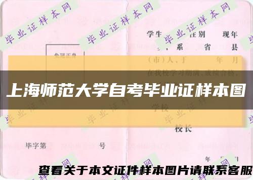 上海师范大学自考毕业证样本图缩略图
