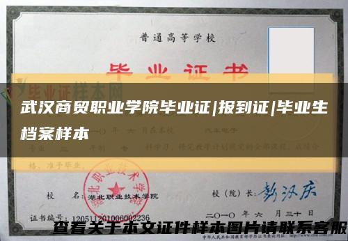 武汉商贸职业学院毕业证|报到证|毕业生档案样本缩略图
