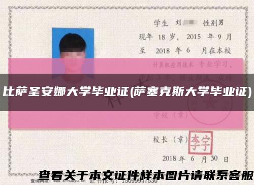 比萨圣安娜大学毕业证(萨塞克斯大学毕业证)缩略图